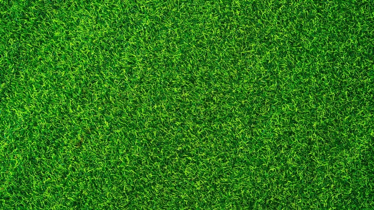 Lush green natural lawn